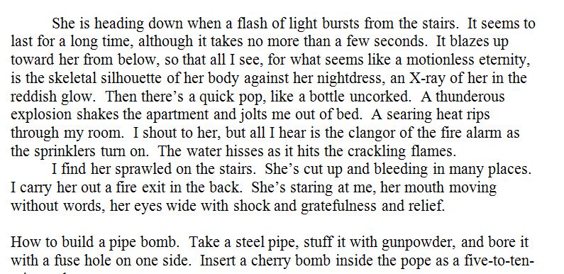descartes excerpt